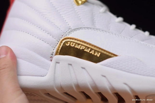(2019) Air Jordan 130690-107 12 